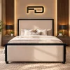 Kingston Luxury Contrast Border Upholstered Ottoman Bed